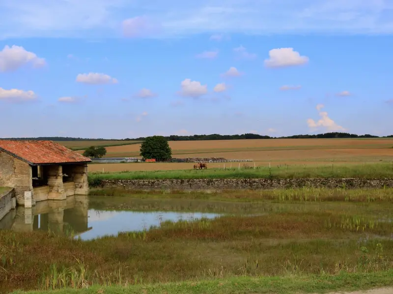 多年感情分手，她说想冷静，怎么挽回？