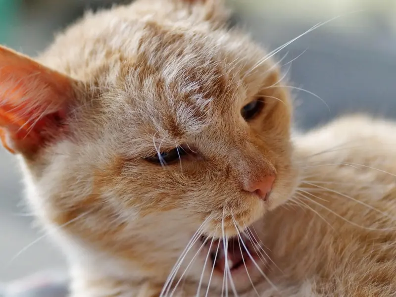 婚后不要有让别人迁就你的想法，而是要跟老公相互扶持！