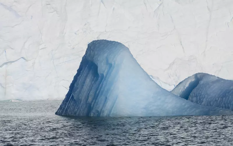 婚后老公偏向他家人，情感专家建议你们之间趁早沟通！