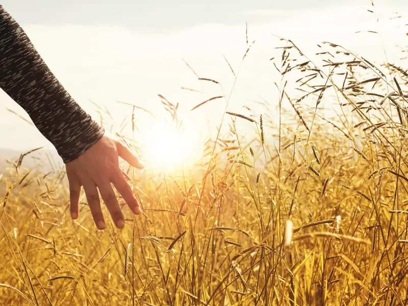 男朋友和我分手之后，我非常后悔以前自己太作，我想玩会补偿他该怎么做