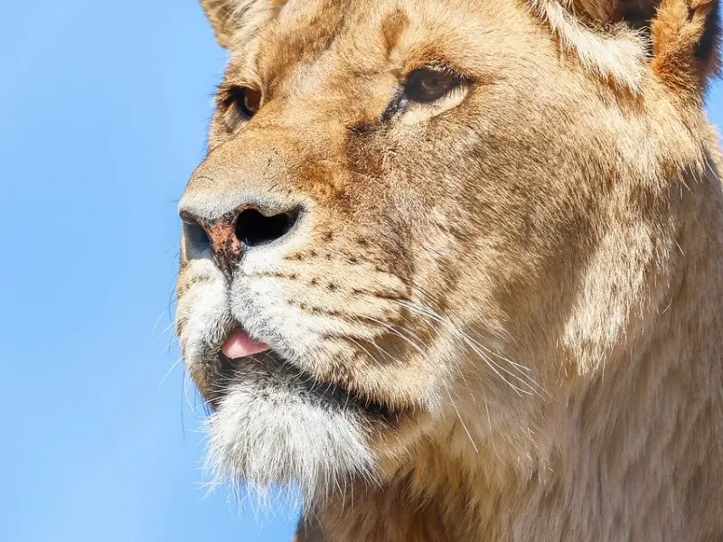 男朋友和我提分手之后，我怎么打电话发信息他都不回复我，我该怎么办