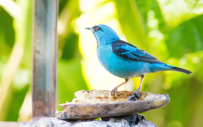 妹子坐飞机来找我后，我变了