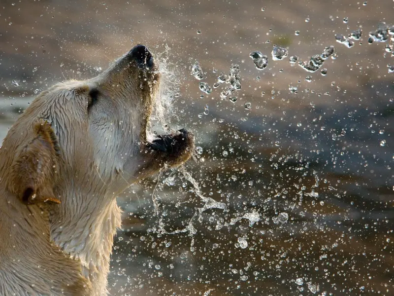 老公出轨之后，我和他大吵大闹，现在他都不回家了，我该怎么办