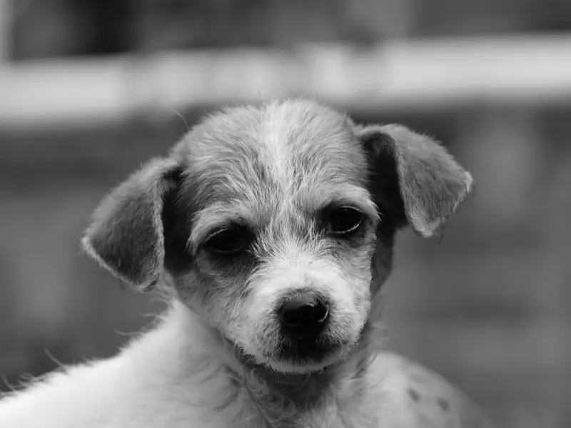 老公出轨后，我才茅塞顿开：对付婚外情，一定要学会这几招