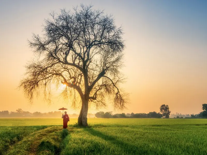 老公出轨之后我做了这三件事，才解心头之恨，并且挽回了老公