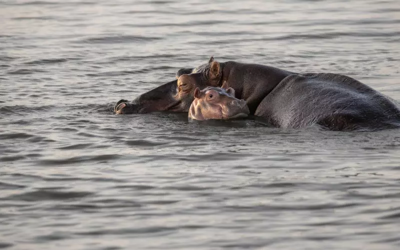 老公出轨后我成功捍卫了家庭，小三离开，男人回归！