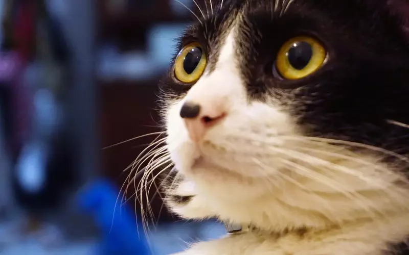 挽回干货看了那么多，为什么还是挽回失败？