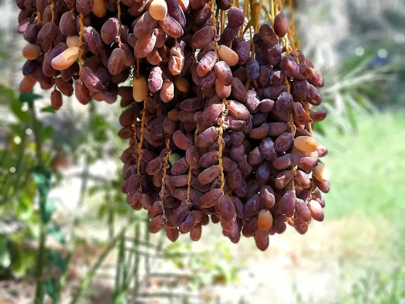 看完这些真实的情况，你还敢谈恋爱吗？