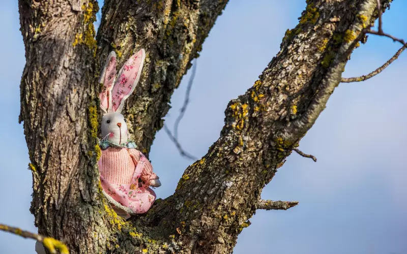 看完这些话，也就知道爱情为何物了！