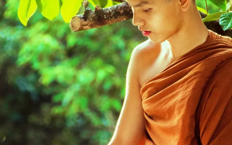 看完，就彻底了解上座部佛教和圣物