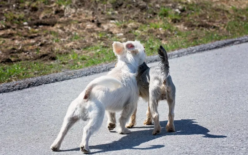 看完你会知道结婚是什么感觉，值得未婚的我们去了解