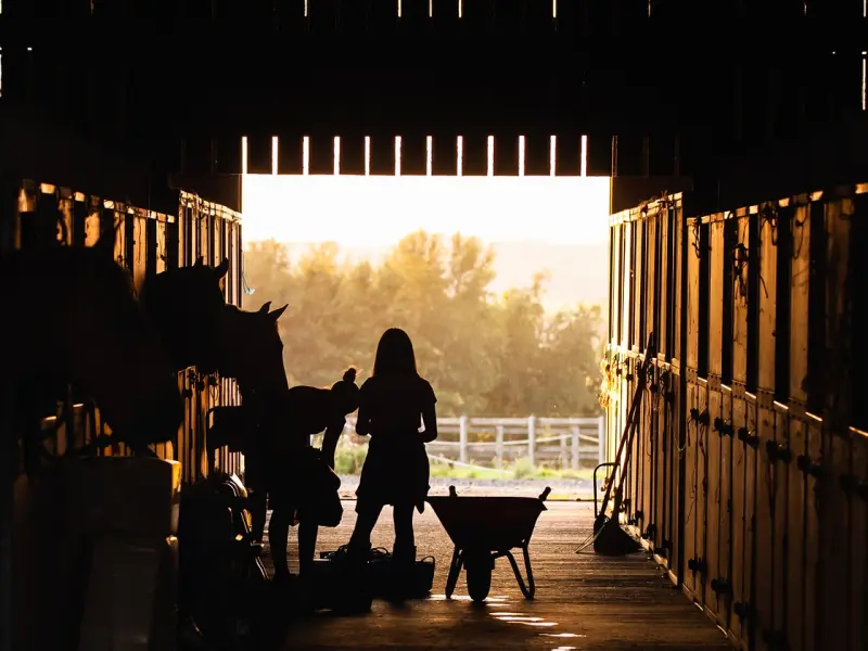 挽回后，做好这四点，感情越发稳定