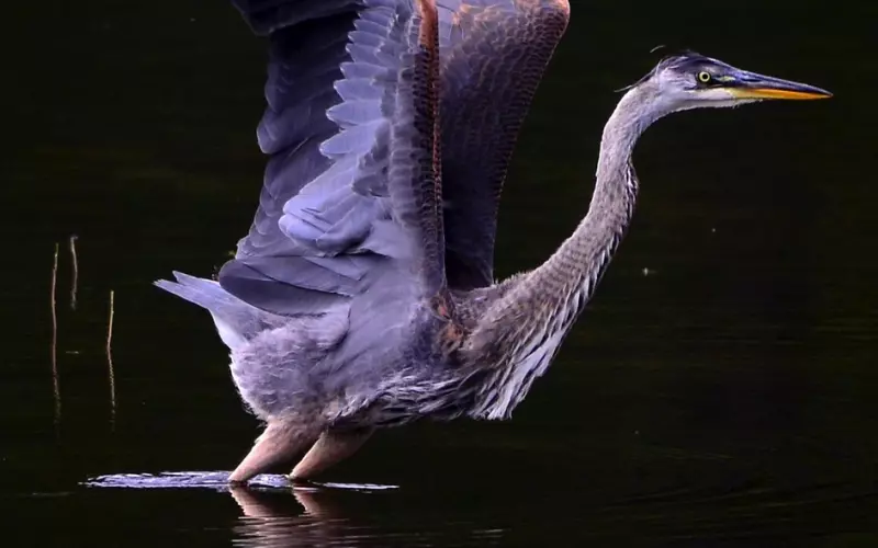 复联后一定要注意以下几点，搞不好你的挽回就会功亏一篑