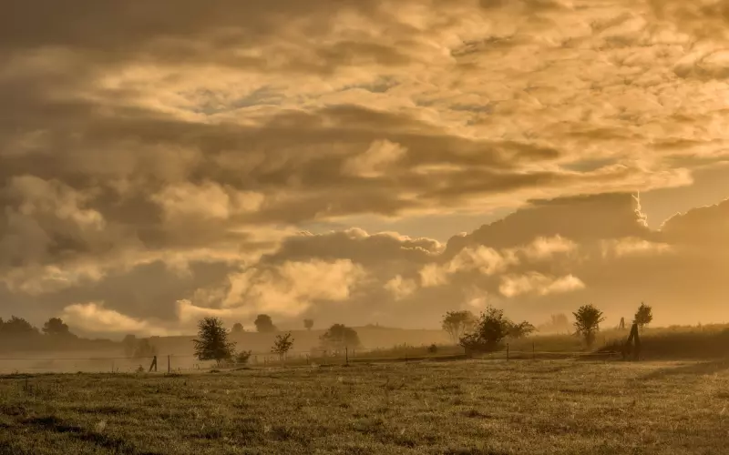 远离这六件事之后，你就会变得越来越顺，越早知道越好！