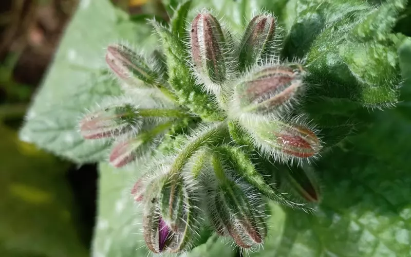 解除拉黑状态后，该用什么态度挽回前任