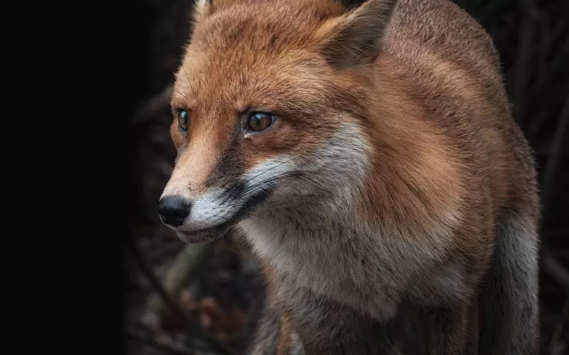 分手后他忽冷忽热，总是捉摸不透？警惕陷阱！