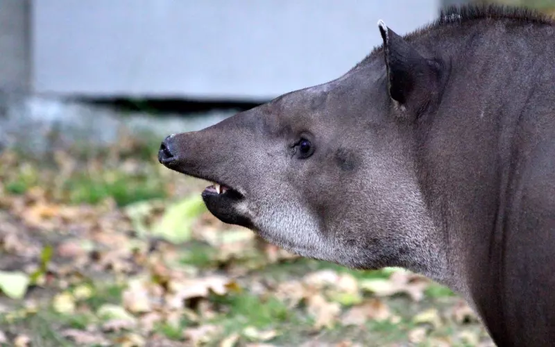 分手后男人完全不联系,男人分手后的反感期