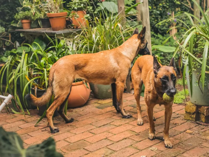 分手之后对方很快就找了下一任，想要挽回的你应该怎么办