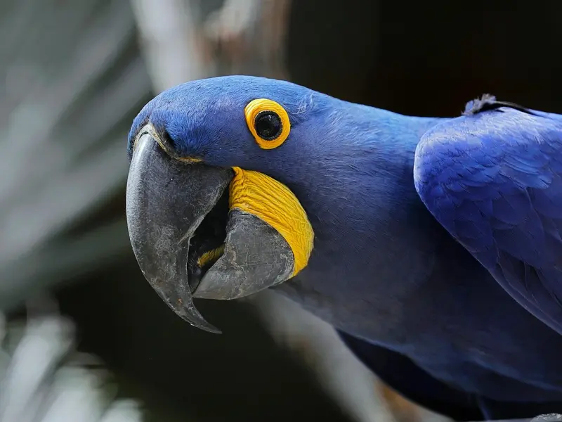 疫情过后，你对爱情最大的感悟是什么？