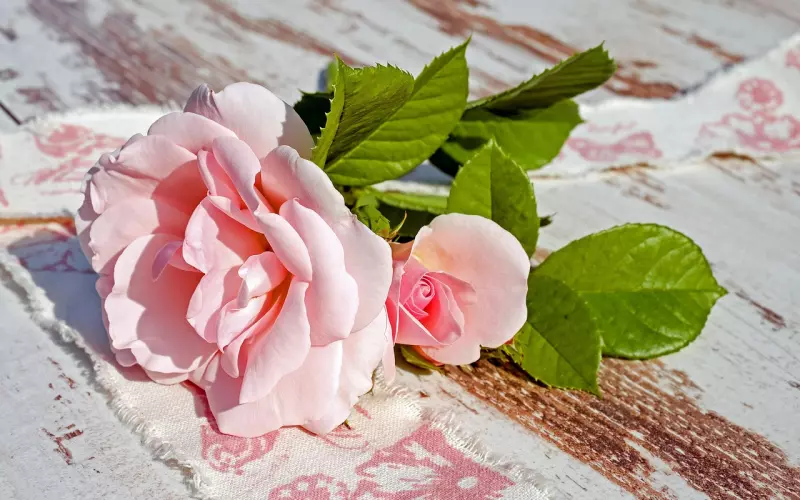 吵架和好后感觉陌生了,感觉和男朋友的感情淡了