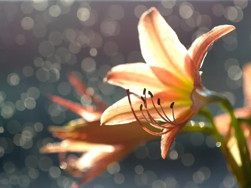 关灯后，女人有情有欲这四个阶段，别错过了