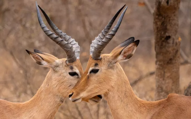 谈恋爱两个月天天吵架 吵架的4个注意事项