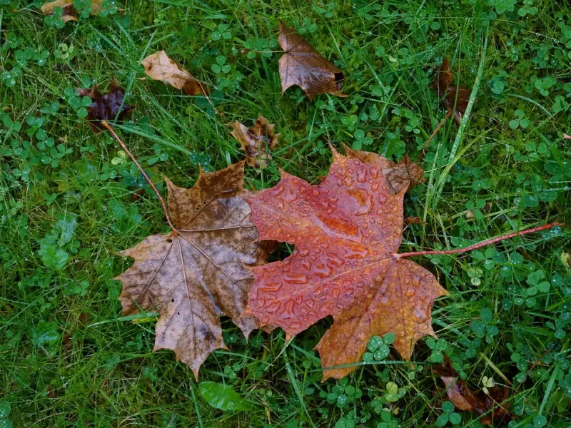 新婚两个月，老公就想离婚了，我该怎么才能挽回我们的感情？