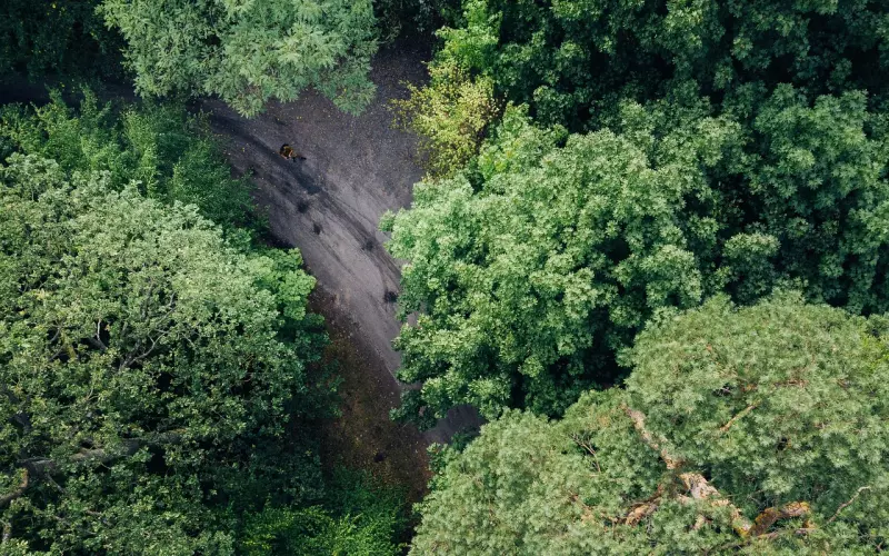 看明白这两分手性质，想要与前任复合易如反掌
