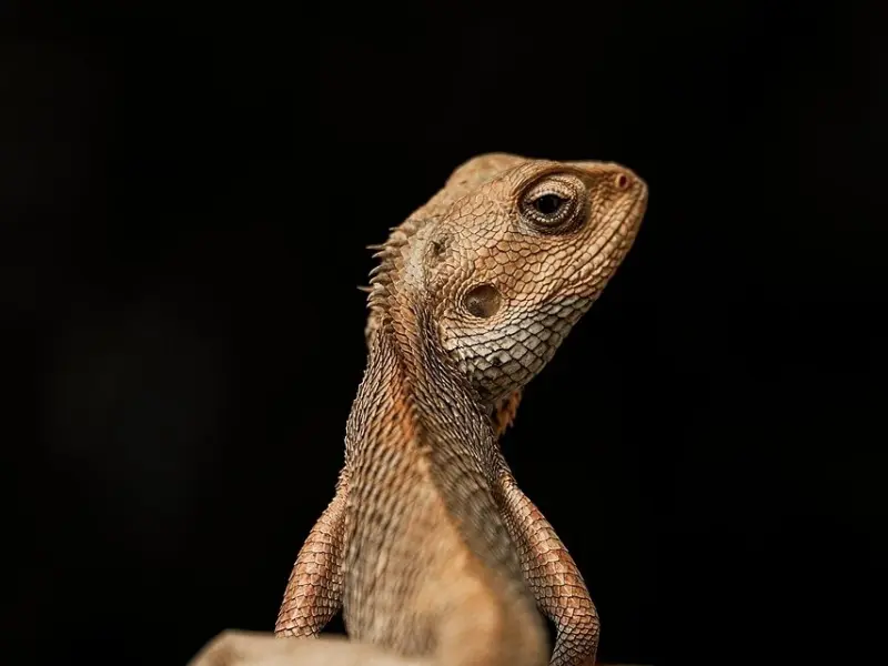 看完《恋爱先生》，有人顺利脱单，有人砸了键盘