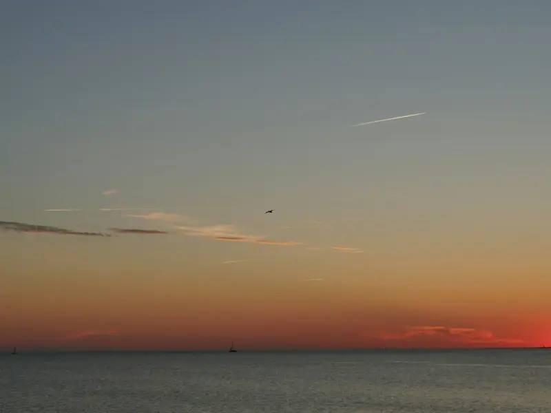 分手之后我以为我能忘记前男友，但是我做不到，我现在想要去挽回他该怎么做