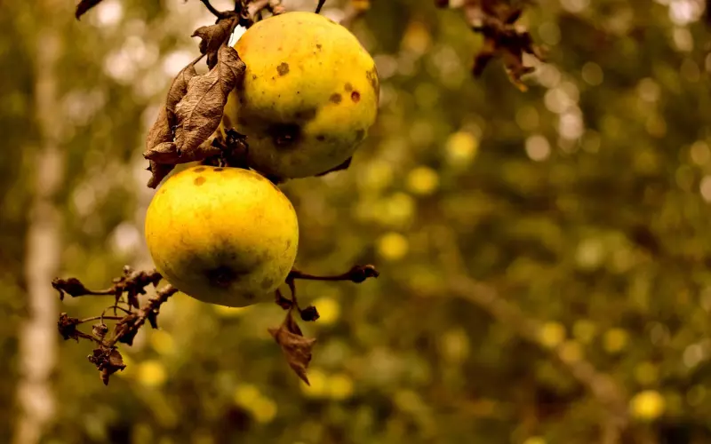 分手后我死缠烂打被男友拉黑了，该怎么挽回