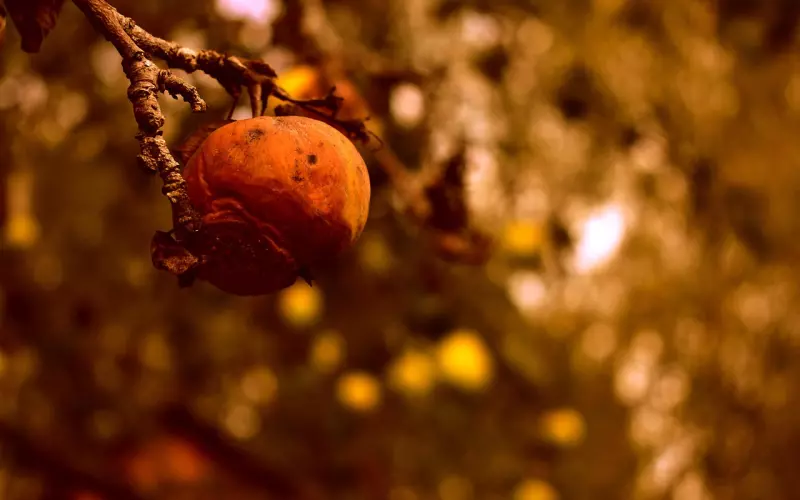 分手后我死缠烂打被拉黑了，还能挽回吗