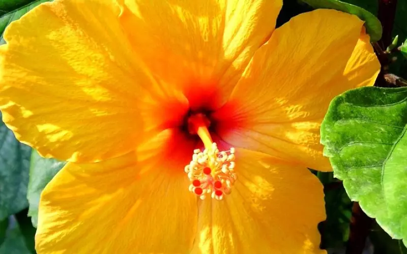 老公出轨走后，该如何用一封信来打动他的内心？