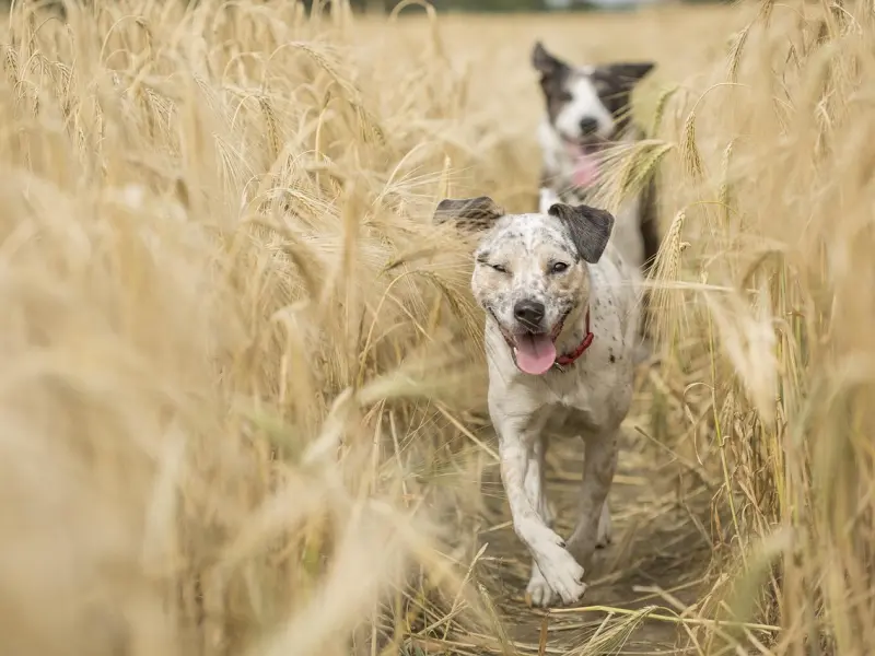 所有的分手都是蓄谋已久