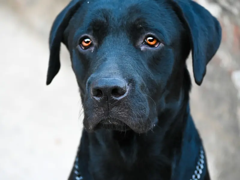 ❤有本事的女人都是这样子！