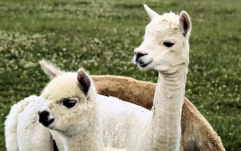 这一世所有的相遇，都是上一世的重逢