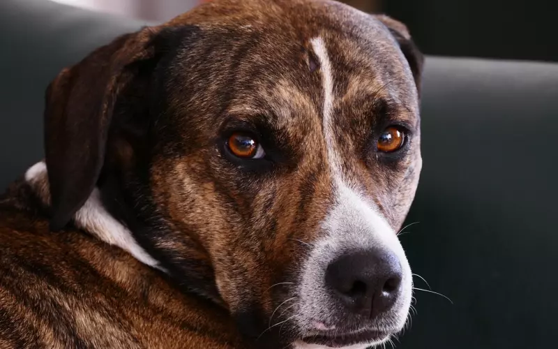 ?一夜间朋友圈的男人、女人都在传这个视频♬