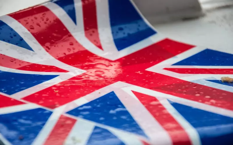 2019年的新词都出来了，太经典了！