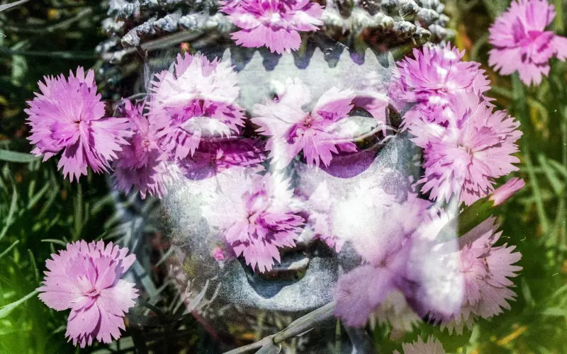 拼的都是演技，当的都是演员!