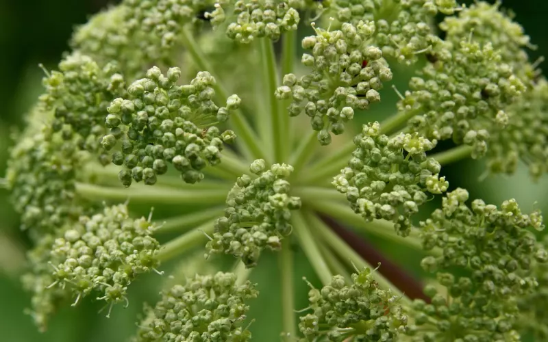 虽然我不完美，但我很真实