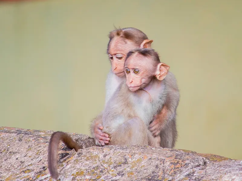 尽管婚姻生活淡如水，但请你不要轻易放弃