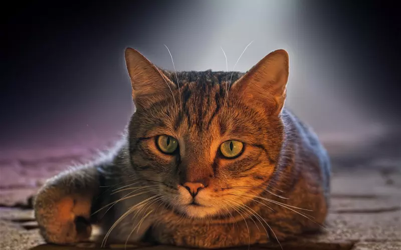 句子虽短，却很心痛！