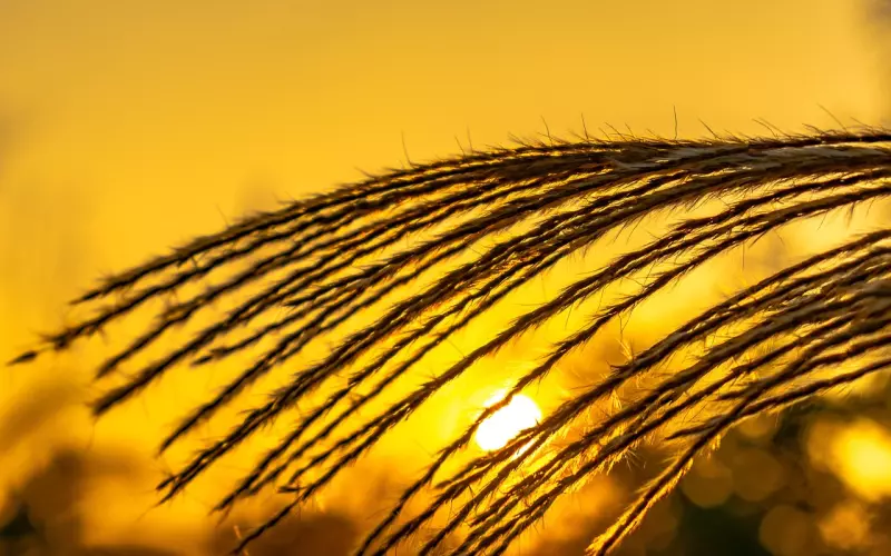 句子虽短，却很伤感，总有一句话说中你的心事！