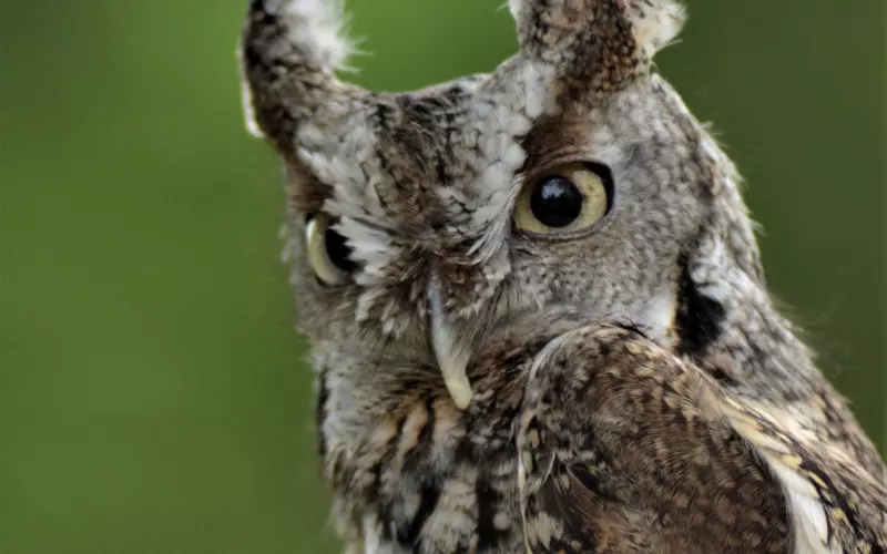 总是失恋，你该找找自己的原因了