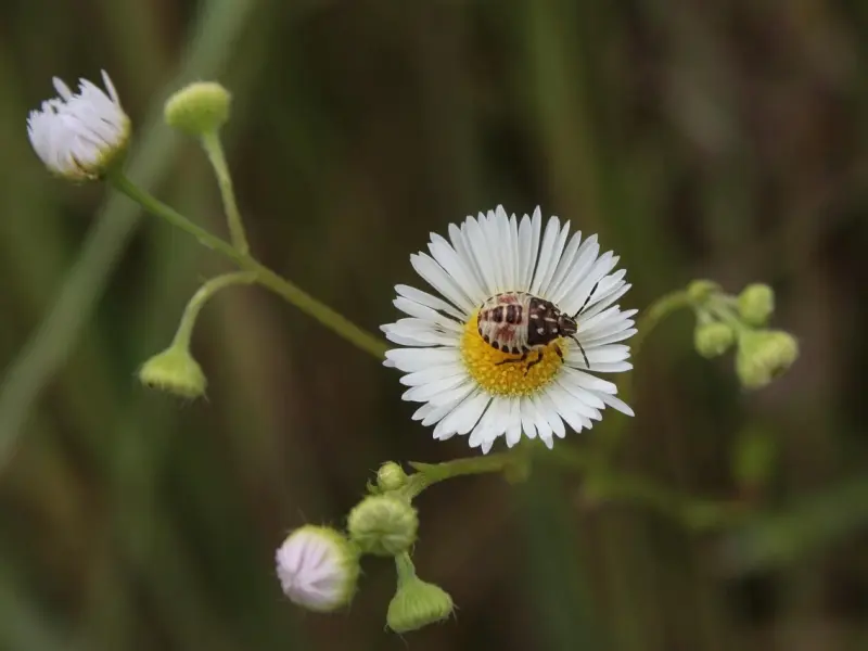 分手后的暧昧期