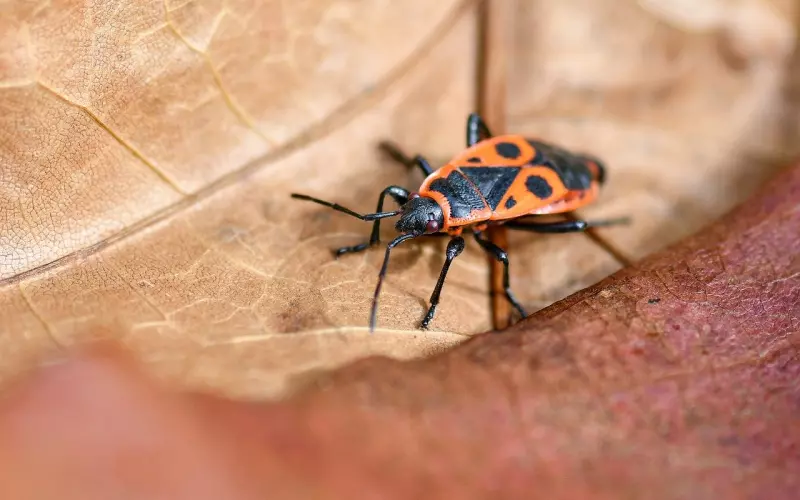 微信上很美很火的伤感句子，那一句说到你心坎上了？