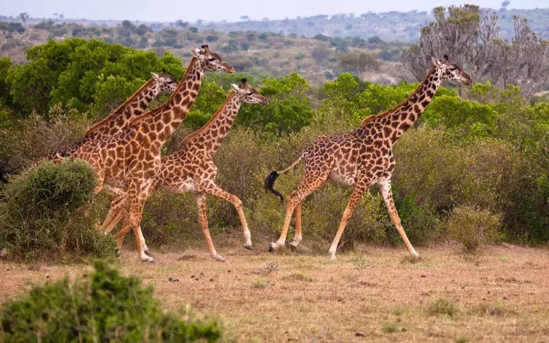 做夫妻的五重境界，你在第几层？