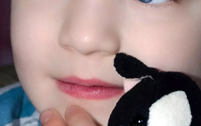 这些影视剧中最受欢迎的女主角，有你喜欢的一员吗