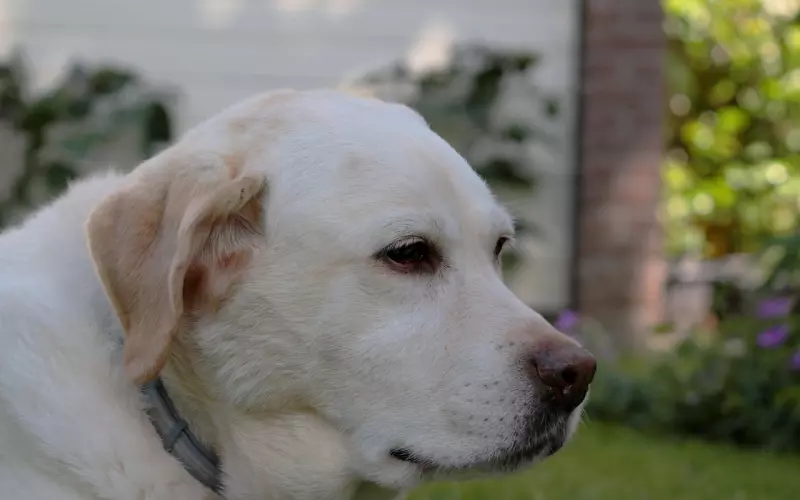 一位了不起的女人，红遍了大江南北