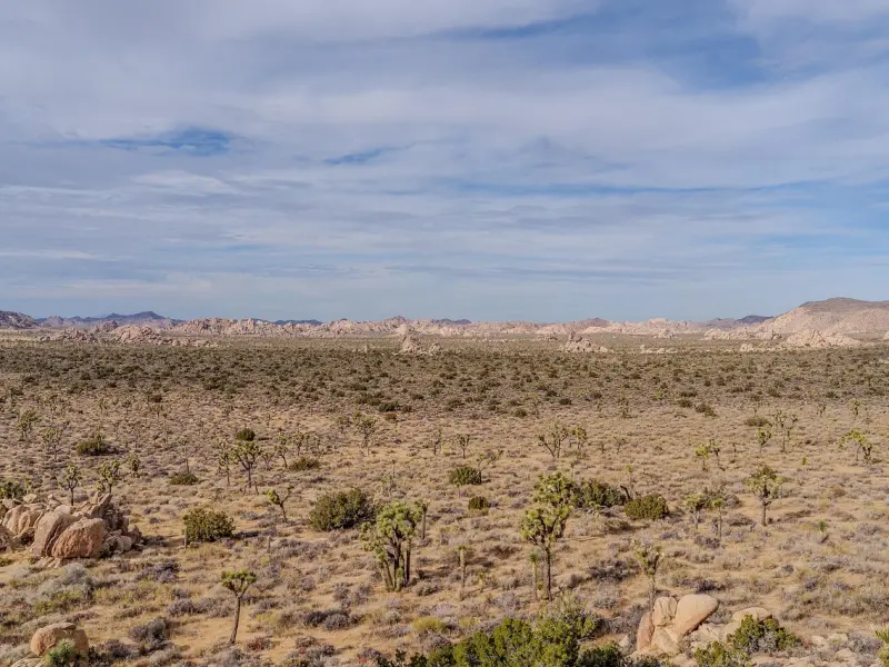挽回爱情时的有效邀约